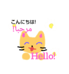 日本語アラビア語英語cat قطة بثلاث لغات（個別スタンプ：2）