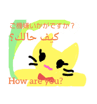 日本語アラビア語英語cat قطة بثلاث لغات（個別スタンプ：4）