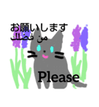 日本語アラビア語英語cat قطة بثلاث لغات（個別スタンプ：13）