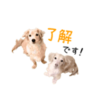 いくりくの日常（個別スタンプ：2）