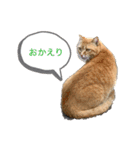 ゴンとチビ（個別スタンプ：7）
