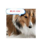 蓮華さんの日常♡（個別スタンプ：6）