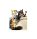 小町3（個別スタンプ：8）