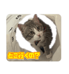 小町3（個別スタンプ：17）