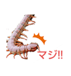 虫のスタンプです（個別スタンプ：8）