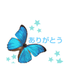 虫のスタンプです（個別スタンプ：10）