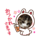よったんファミリー（個別スタンプ：3）