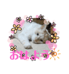 よったんファミリー（個別スタンプ：5）