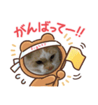 よったんファミリー（個別スタンプ：8）