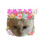 よったんファミリー（個別スタンプ：14）