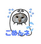 よったんファミリー（個別スタンプ：15）