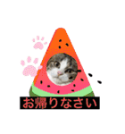 よったんファミリー（個別スタンプ：19）