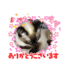 よったんファミリー（個別スタンプ：26）