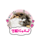 よったんファミリー（個別スタンプ：28）