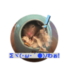我が家の可愛い大家族 (第3弾)男子チーム（個別スタンプ：12）