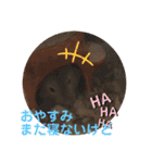 我が家の可愛い大家族 (第3弾)男子チーム（個別スタンプ：23）