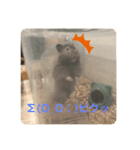 我が家の可愛い大家族 (第3弾)男子チーム（個別スタンプ：24）