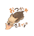 チロと女の子（個別スタンプ：12）