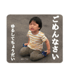 おーちゅのつぶやき（個別スタンプ：13）