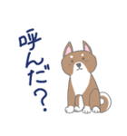 博多柴犬サム（個別スタンプ：1）