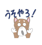 博多柴犬サム（個別スタンプ：3）