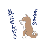 博多柴犬サム（個別スタンプ：4）