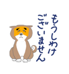 博多柴犬サム（個別スタンプ：5）