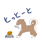 博多柴犬サム（個別スタンプ：9）