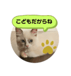 みるくとまめ（個別スタンプ：1）