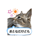 みるくとまめ（個別スタンプ：2）
