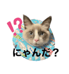 みるくとまめ（個別スタンプ：3）