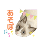みるくとまめ（個別スタンプ：5）