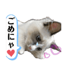 みるくとまめ（個別スタンプ：9）