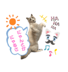みるくとまめ（個別スタンプ：15）