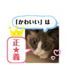 みるくとまめ（個別スタンプ：17）