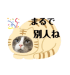 みるくとまめ（個別スタンプ：19）