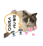 みるくとまめ（個別スタンプ：20）
