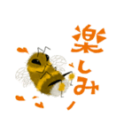 蜜大好きミツバチ（個別スタンプ：7）