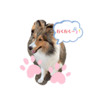 蓮華さんの日常（個別スタンプ：4）