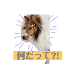 蓮華さんの日常（個別スタンプ：5）
