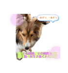 蓮華さんの日常（個別スタンプ：6）