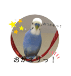 まるいふちのインコのすたんぷ（個別スタンプ：2）