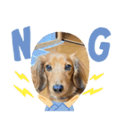 愛犬の気持ち①（個別スタンプ：7）
