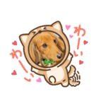 愛犬の気持ち①（個別スタンプ：11）