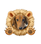 愛犬の気持ち①（個別スタンプ：12）