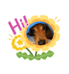 愛犬の気持ち①（個別スタンプ：13）