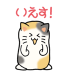 猫大好き！（大）その12（個別スタンプ：9）