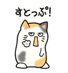 猫大好き！（大）その12（個別スタンプ：11）