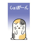 猫大好き！（大）その12（個別スタンプ：29）