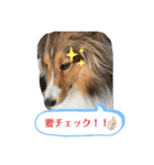 蓮華さんの日常です（個別スタンプ：7）